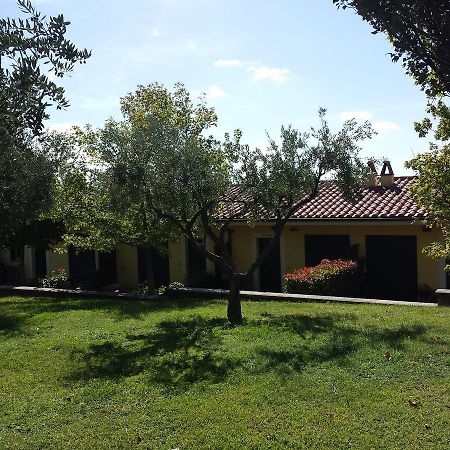 Agriturismo La Vite E Gli Ulivi Βίλα Ariccia Εξωτερικό φωτογραφία