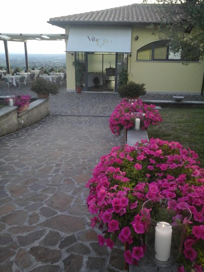 Agriturismo La Vite E Gli Ulivi Βίλα Ariccia Εξωτερικό φωτογραφία