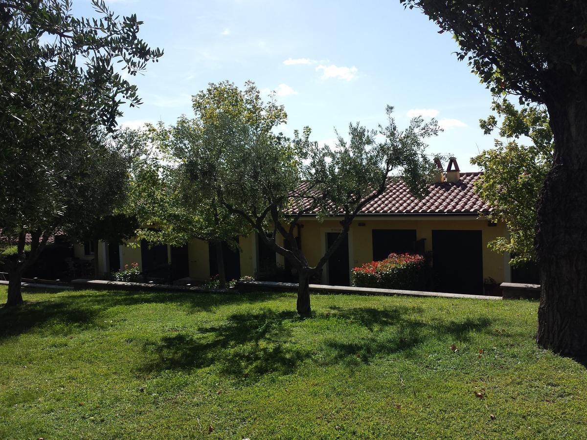 Agriturismo La Vite E Gli Ulivi Βίλα Ariccia Εξωτερικό φωτογραφία