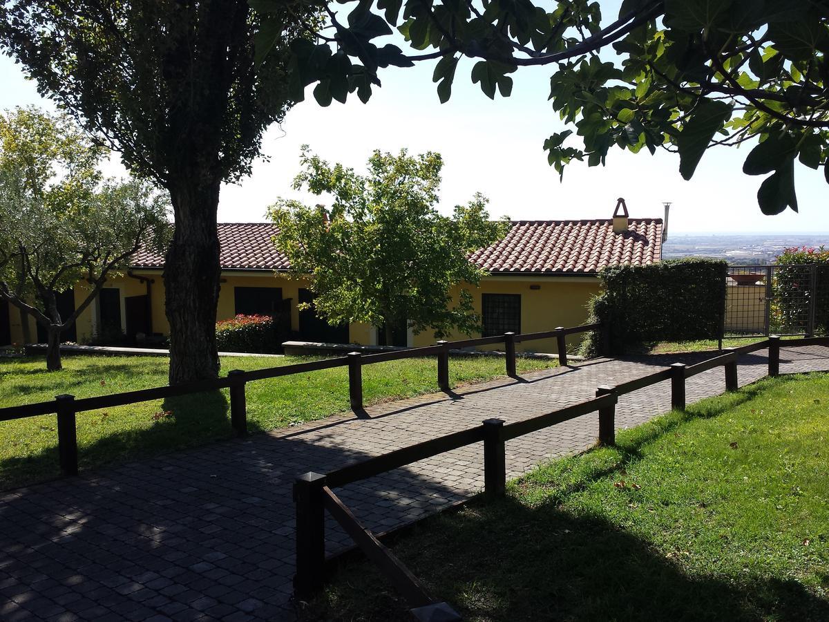 Agriturismo La Vite E Gli Ulivi Βίλα Ariccia Εξωτερικό φωτογραφία
